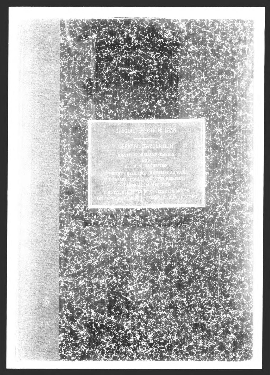 Miniature of General Election: Constitutional Amendment and Referendum