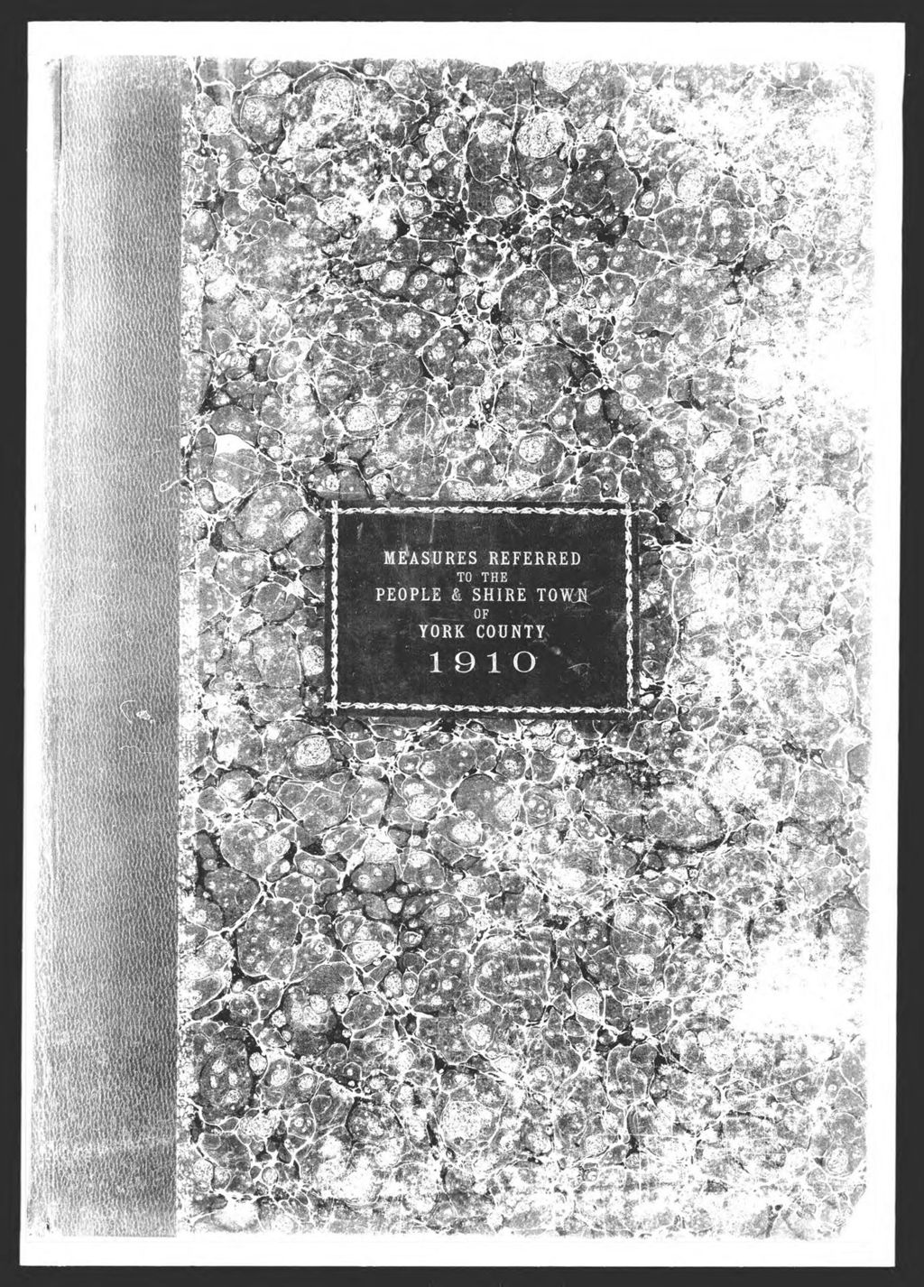Miniature of General Election: Measures referred to people & shire town of York County