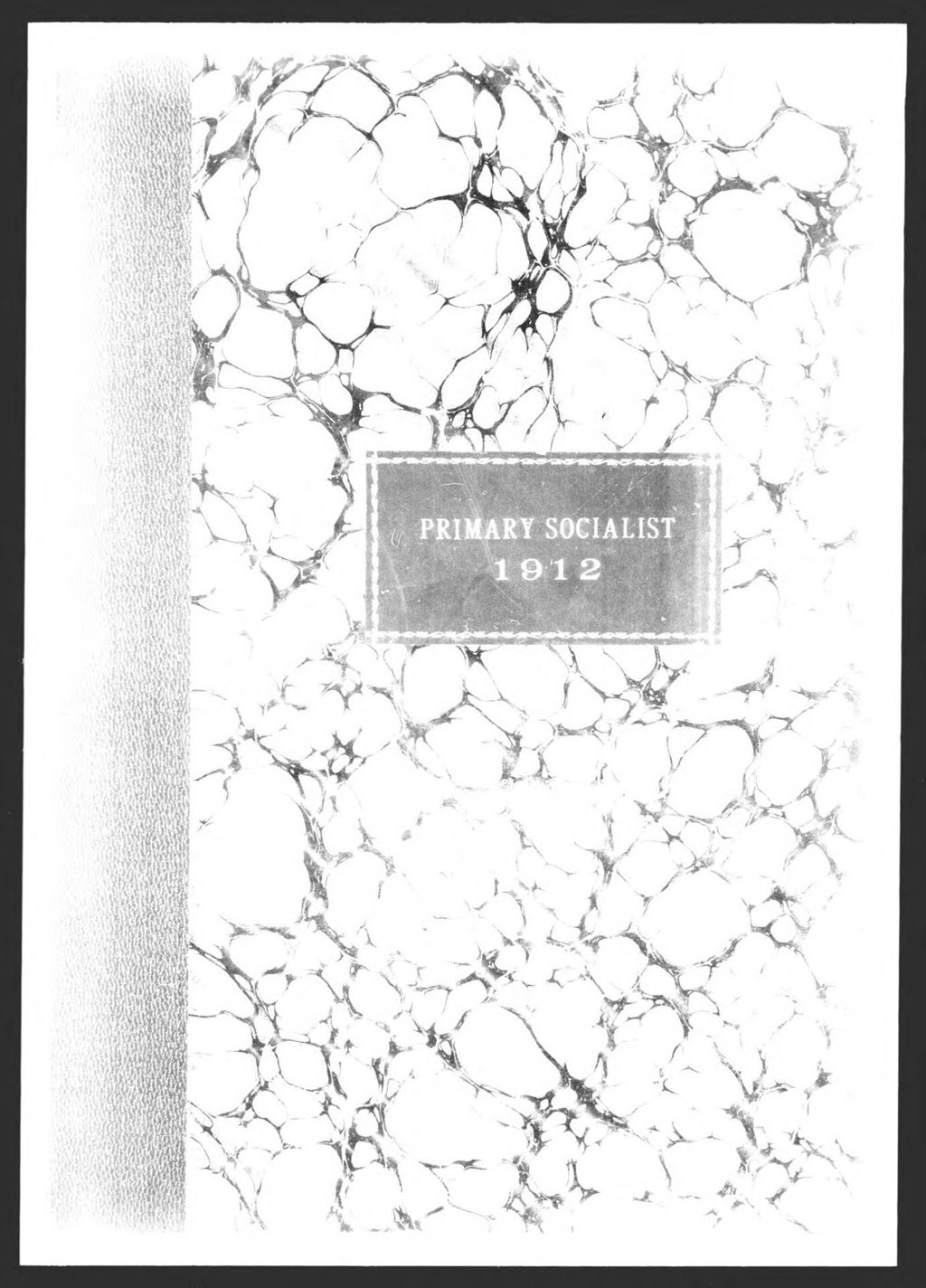 Miniature of Socialist  Primary: State & County Officers