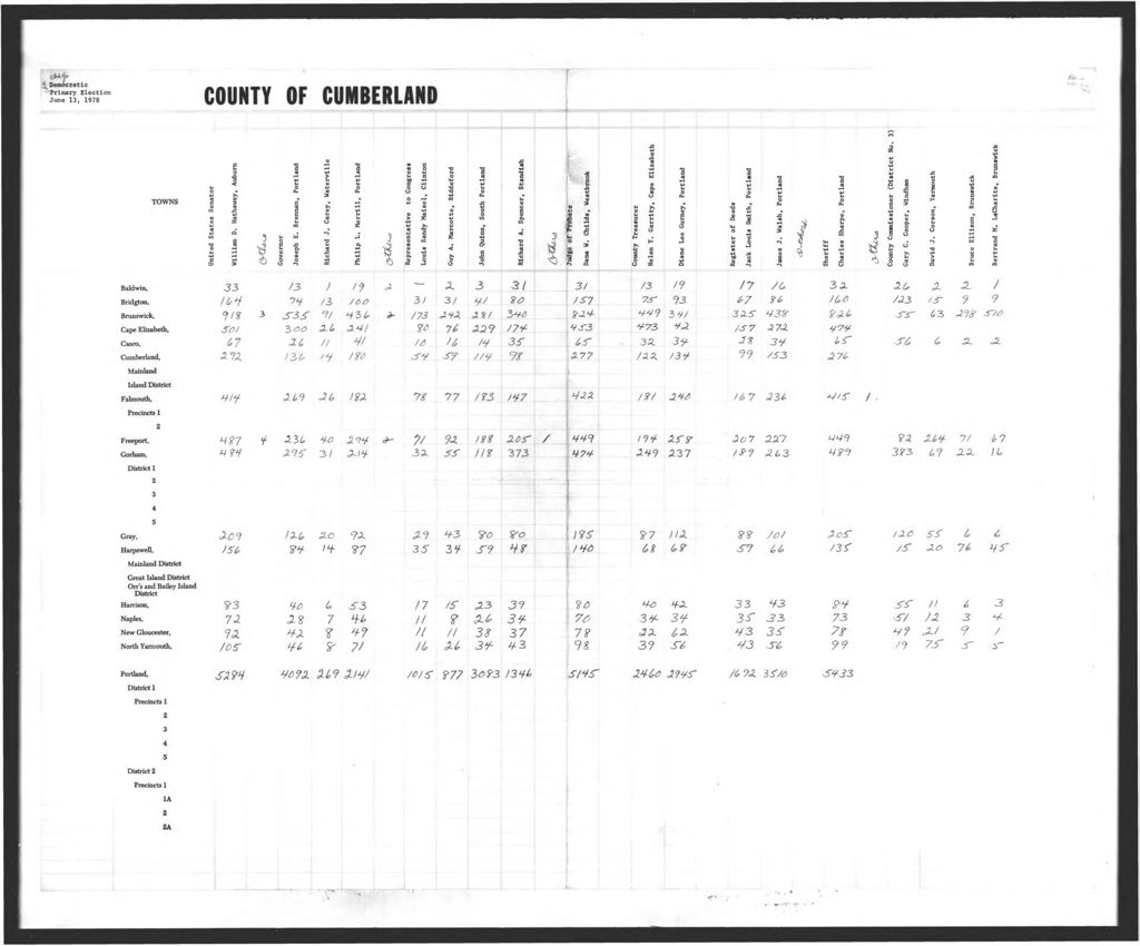 Miniature of Democratic Primary: State & County Officers