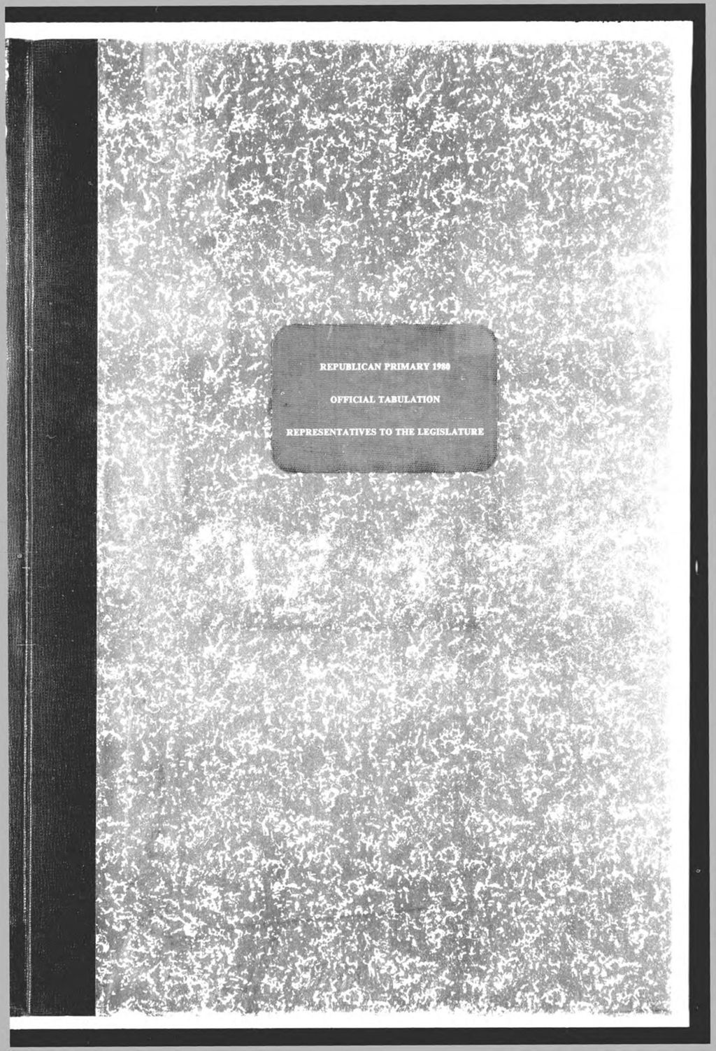 Miniature of Republican Primary: Representatives to Legislature
