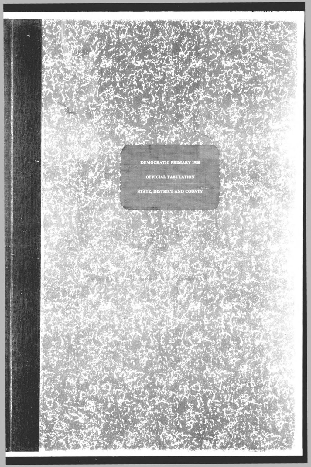 Miniature of Democratic Primary: State & County Officers