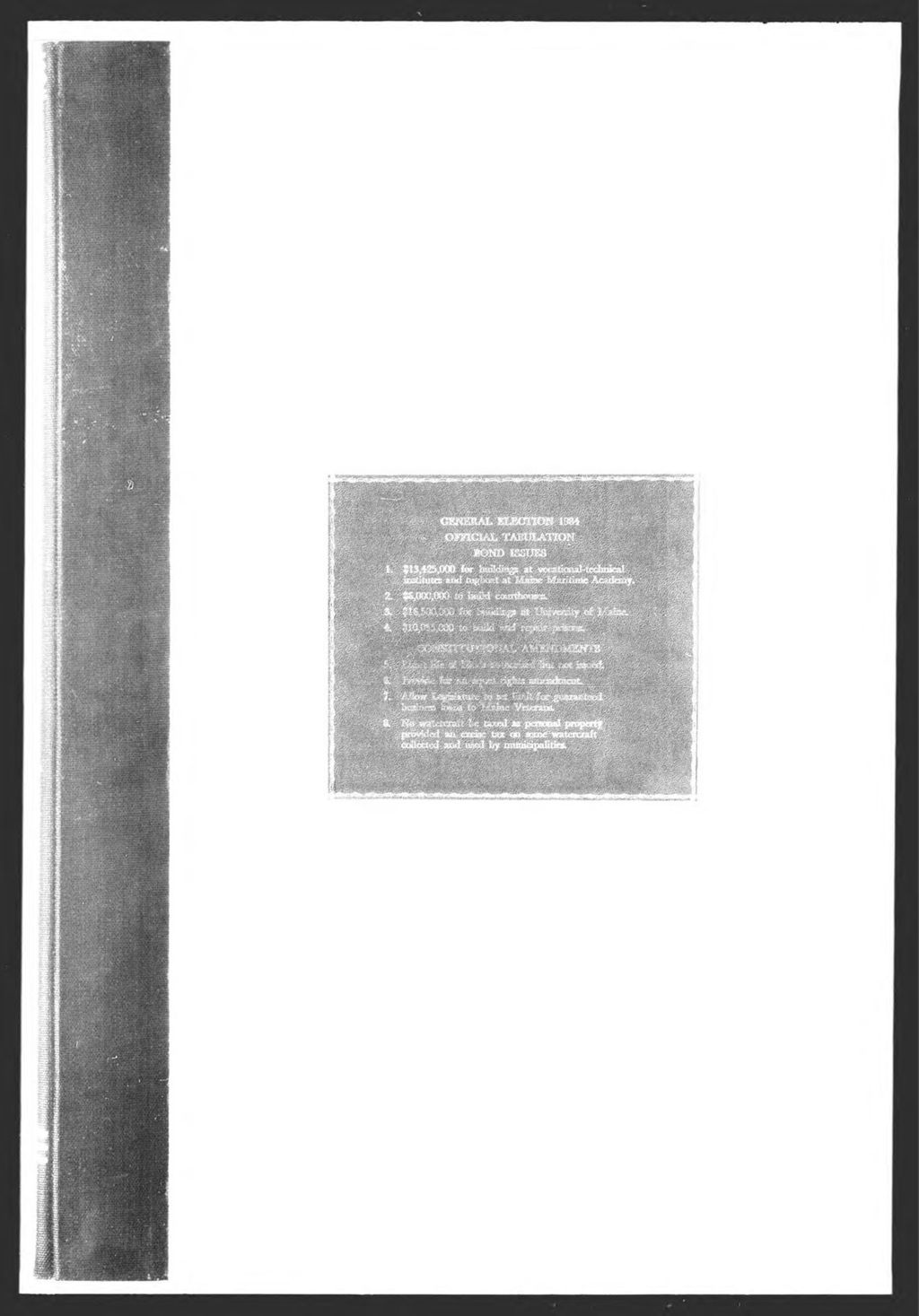 Miniature of General Election: Bond Issues & Constitutional Amendments