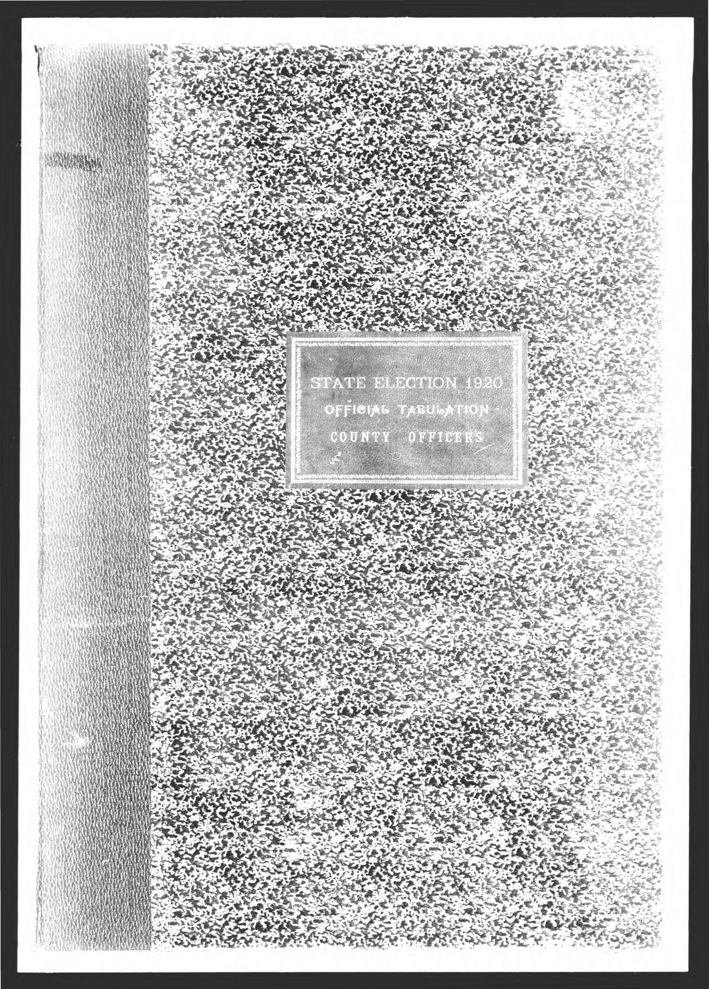 Miniature of General Election: County Officers