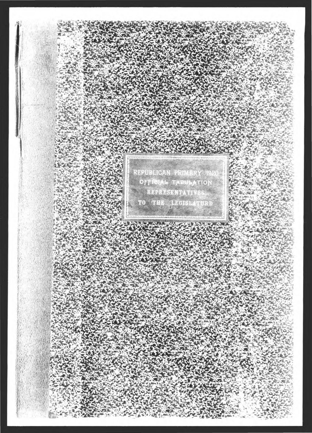 Miniature of Republican Primary: Representatives to Legislature