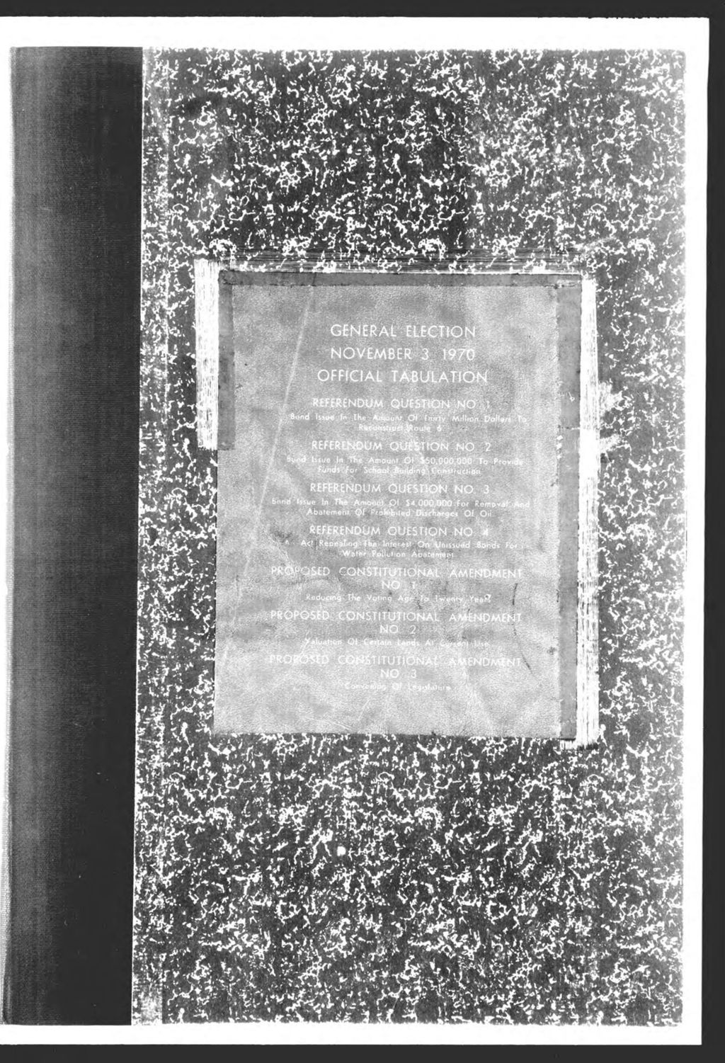 Miniature of General Election: Referendum  & Proposed Constitutional Amendments