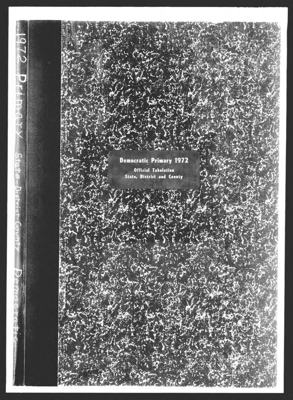 Miniature of Democratic Primary: State & County Officers