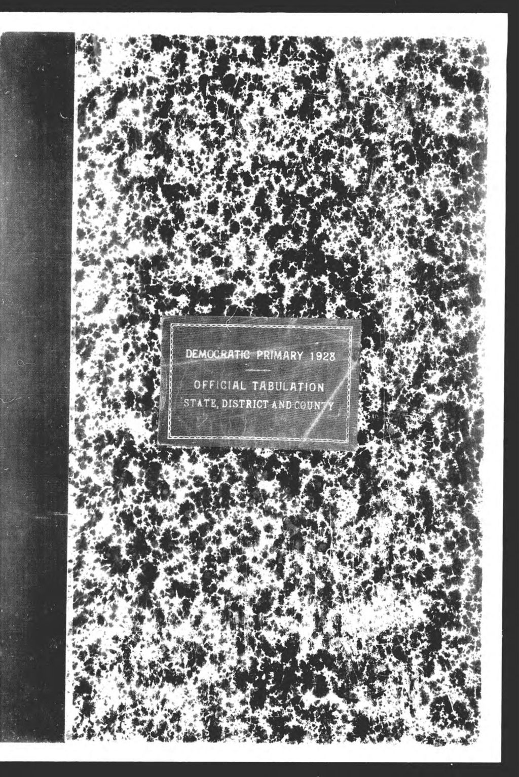 Miniature of Democratic Primary: State & County Officers