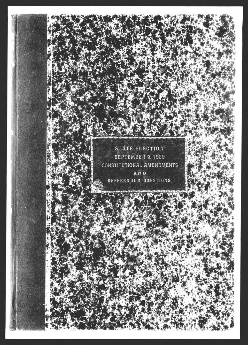 Miniature of General Election: Constitutional Amendment & Referendum
