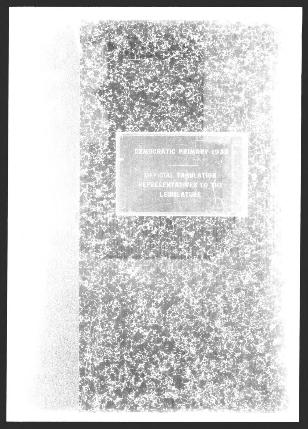 Miniature of Democratic Primary:  Representatives to Legislature