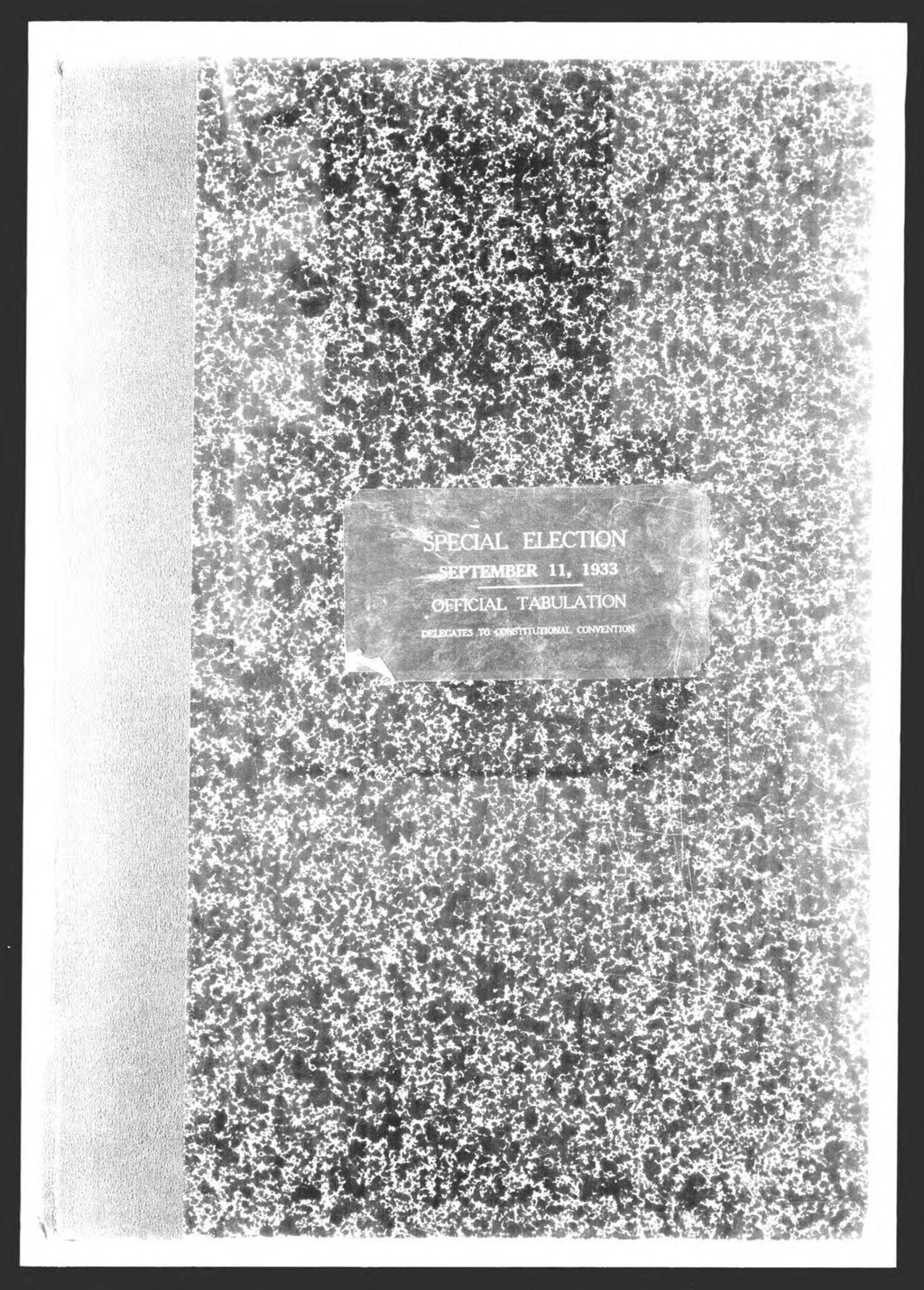 Miniature of General Election: Referendum