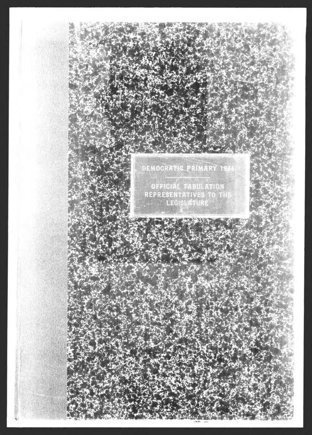 Miniature of Democratic Primary:  Representatives to Legislature