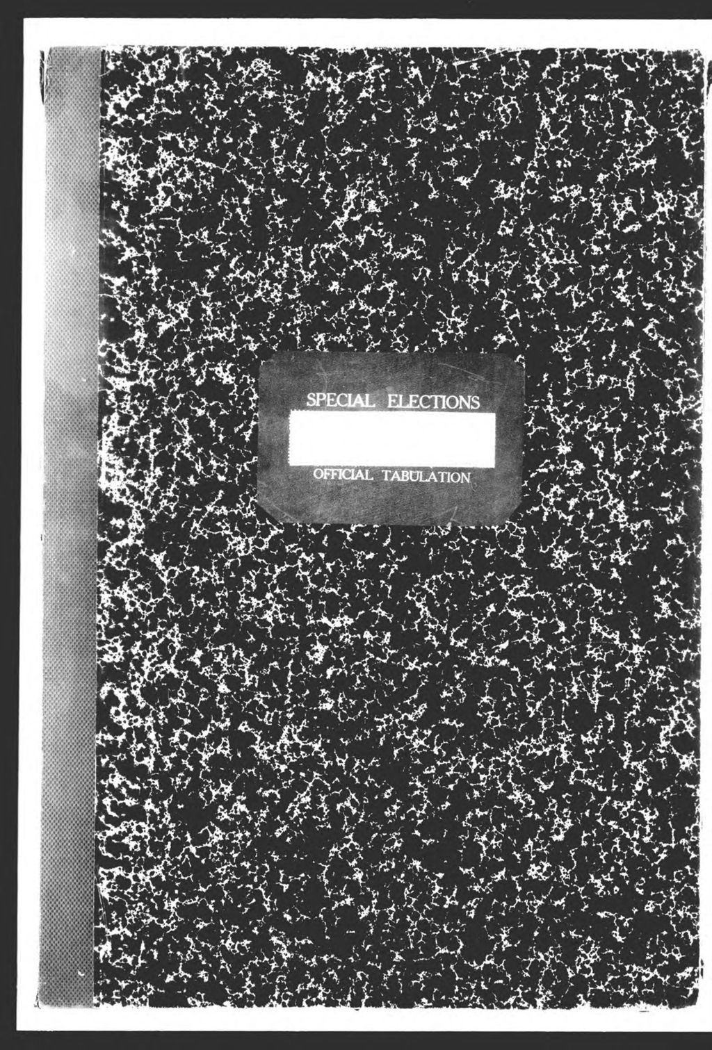 Miniature of Special Election: Representatives to Congress and Senators