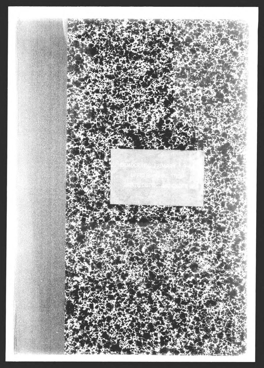 Miniature of Democratic Primary:  State & County Officers