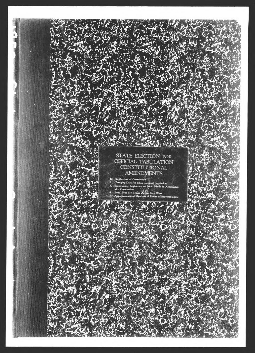 Miniature of General Election: Constitutional Amendments