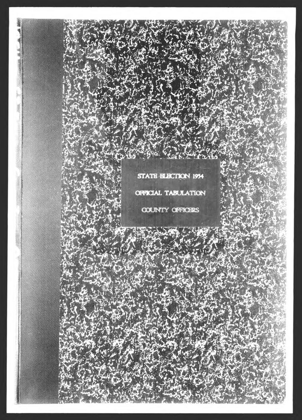 Miniature of General Election: County Officers