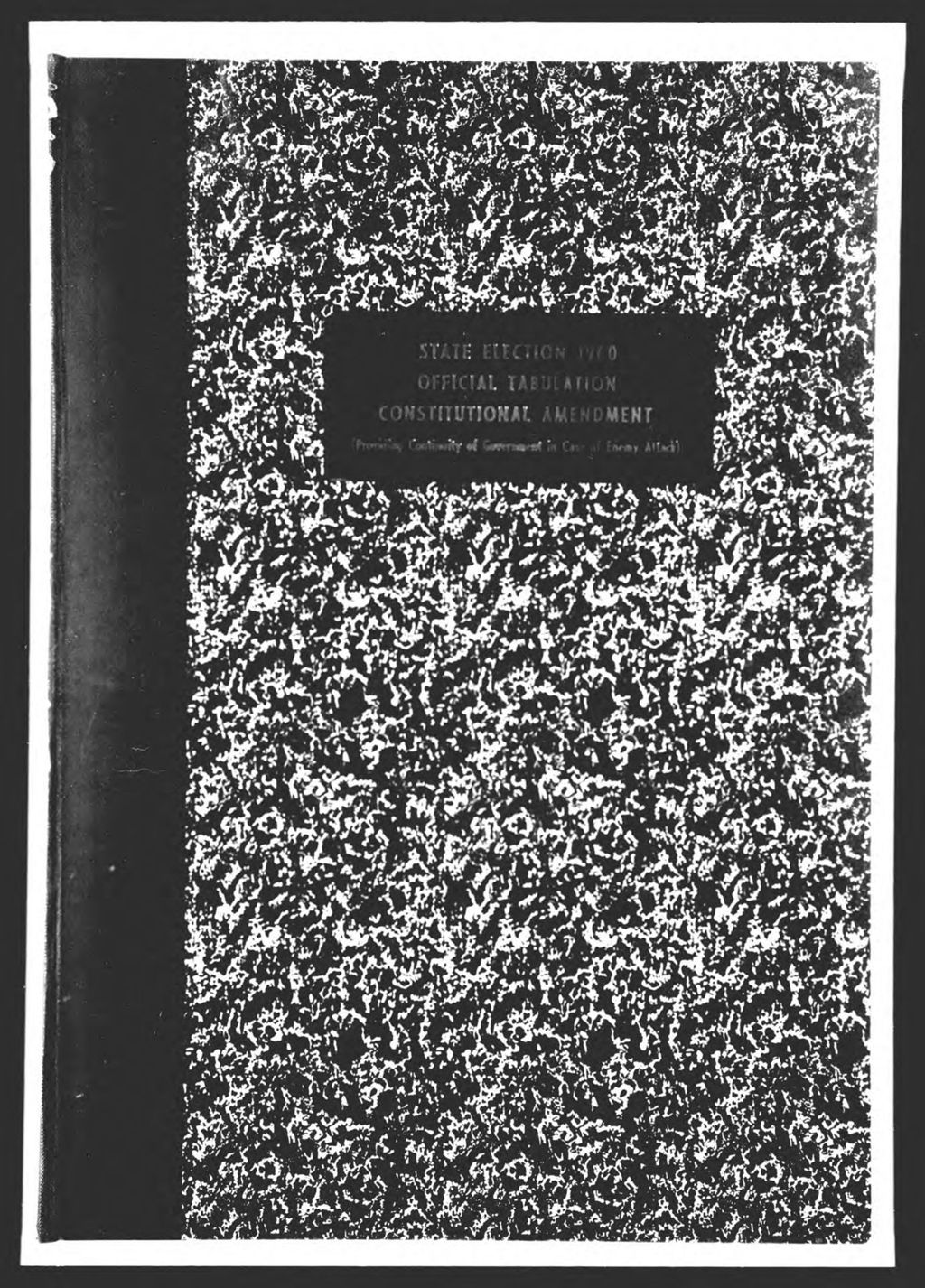 Miniature of General Election: Constitutional Amendments