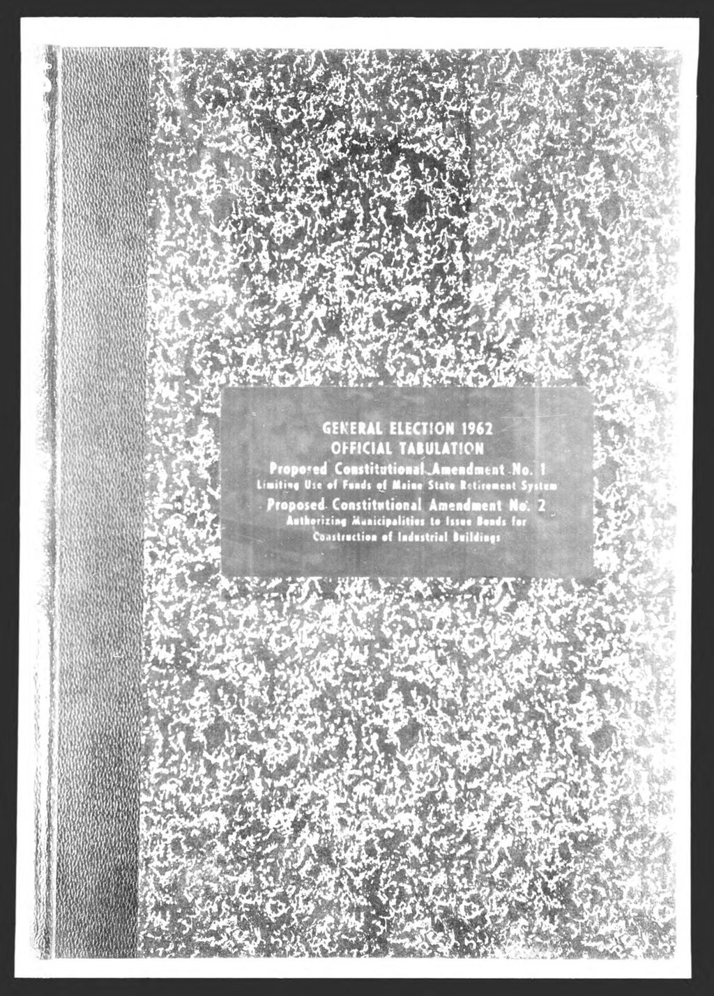 Miniature of General Election: Constitutional Amendment