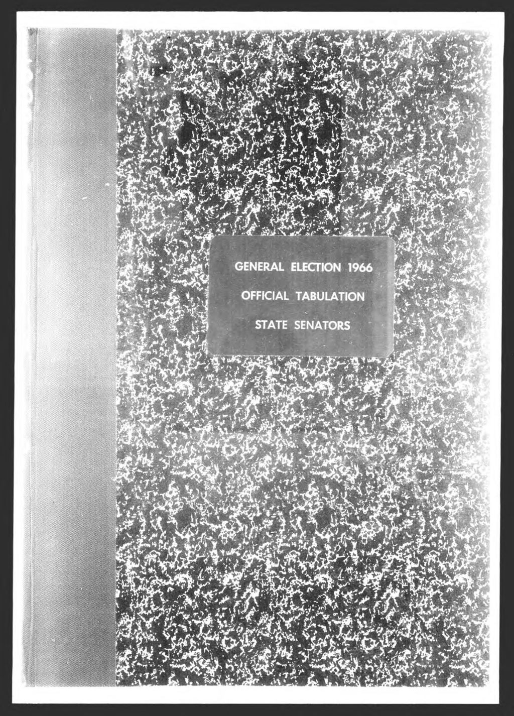 Miniature of General Election: State Senators