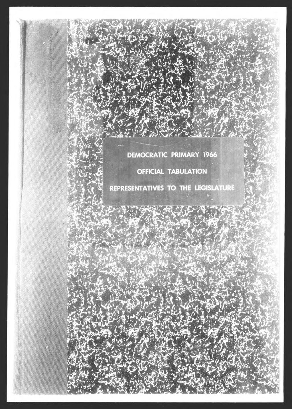 Miniature of Democratic Primary: Representatives to Legislature