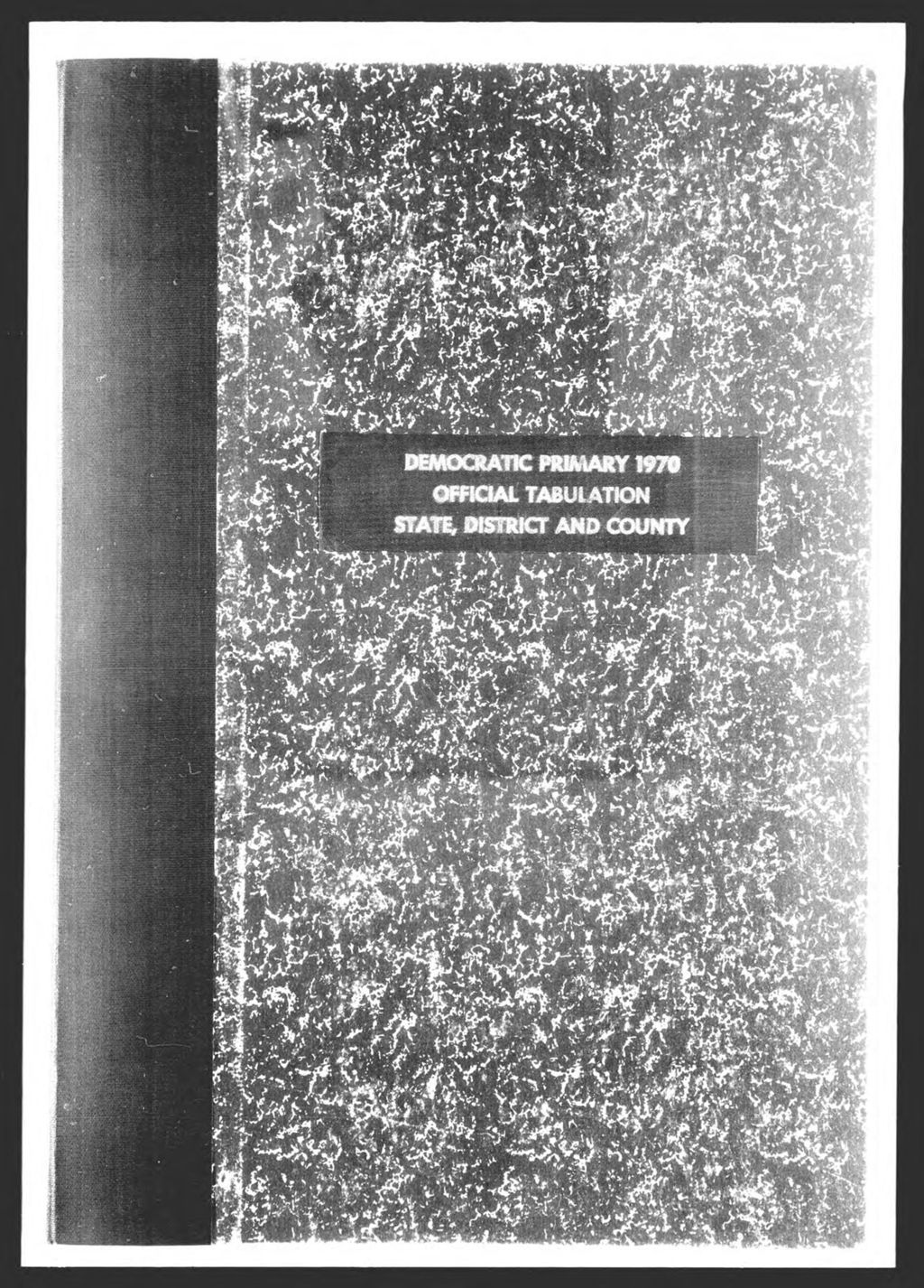 Miniature of Democratic Primary: State & County Officers