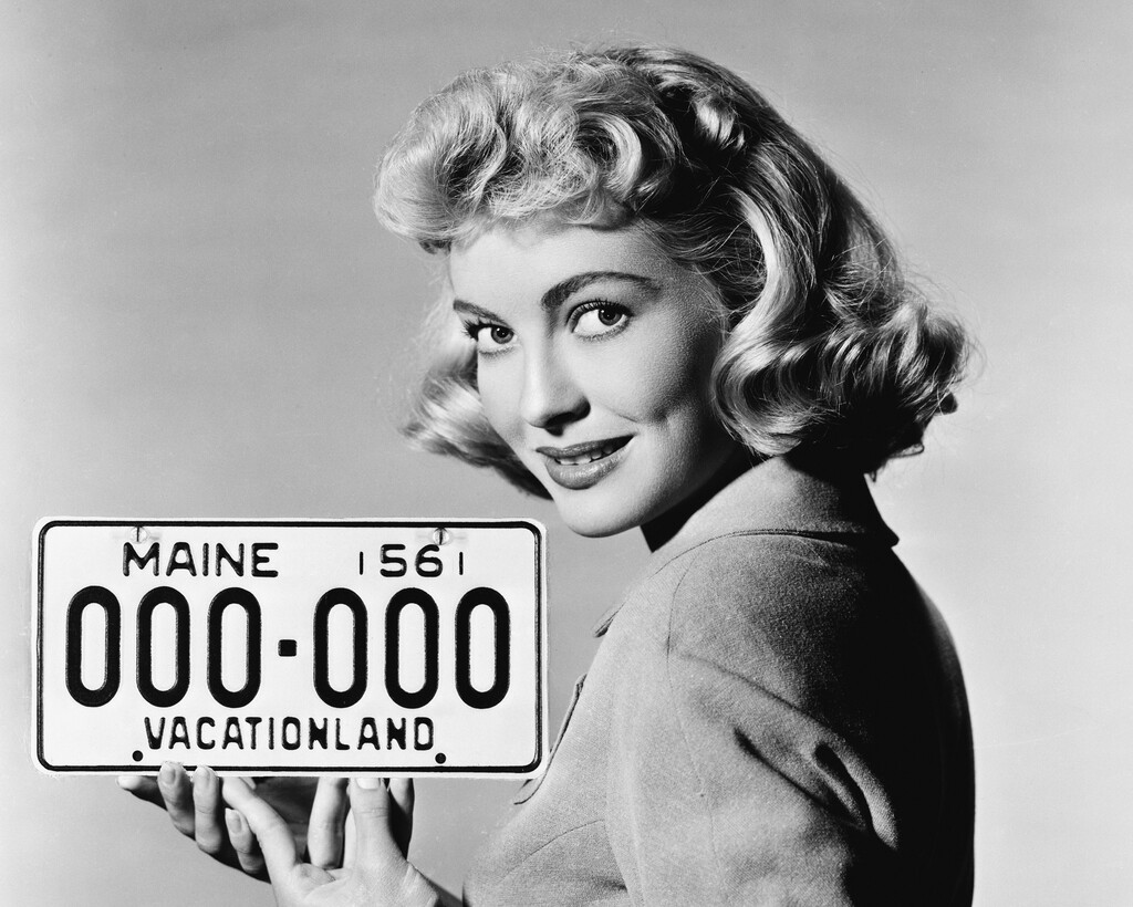 Miniature of BMV License Plate Photos 