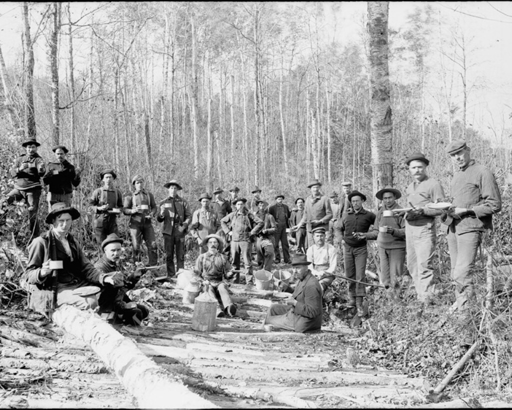 Miniature of Monson Area Glass Plate Negatives