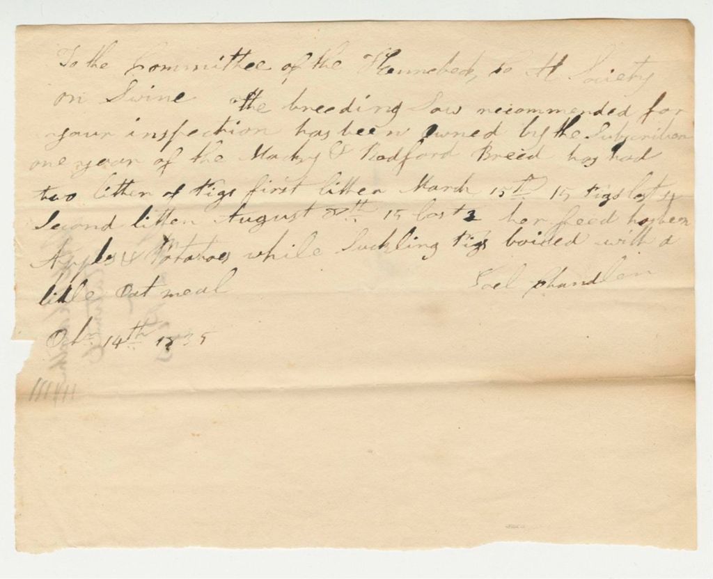 Miniature of Statement of Joel Chandler on Sow and Pigs, 1835-10-14