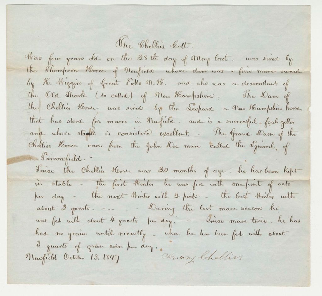 Miniature of Statement on Chellie's Horse, 1847-10-13