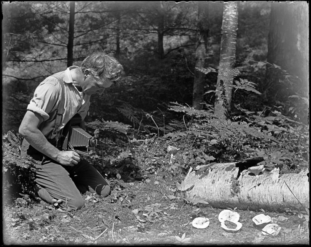 Miniature of George French Photographing A Toad In The Woods