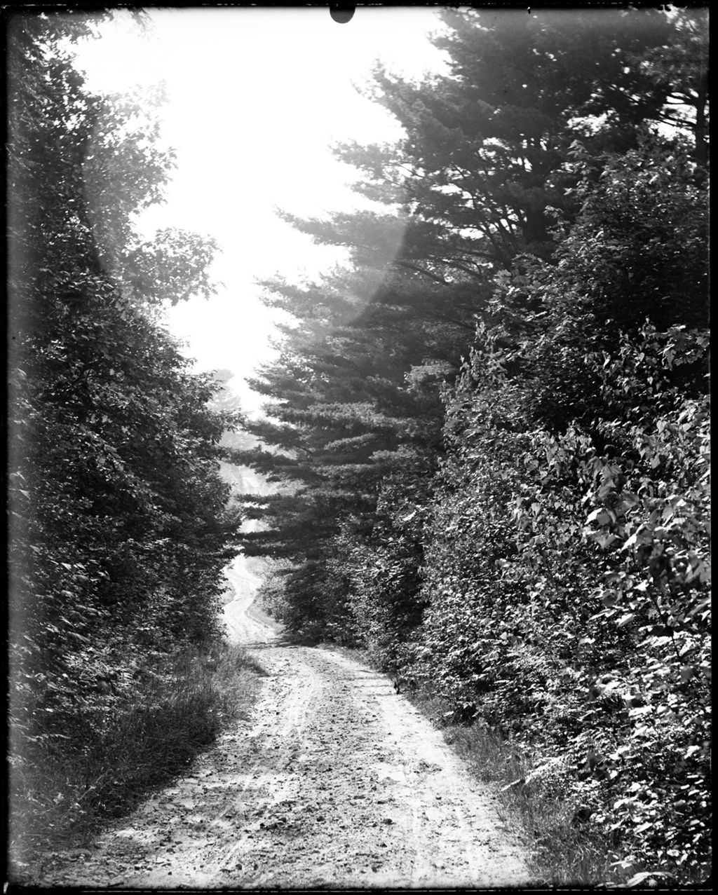Miniature of Old Woods Road