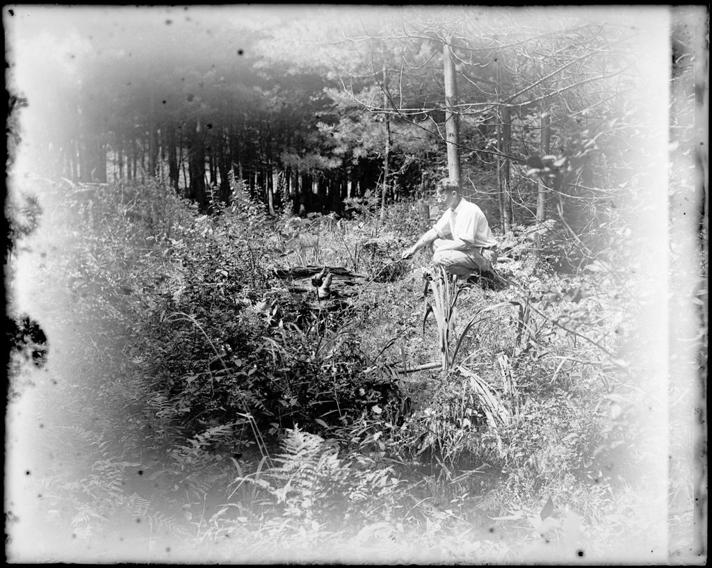 Miniature of George French Sitting At The Edge Of A Woods