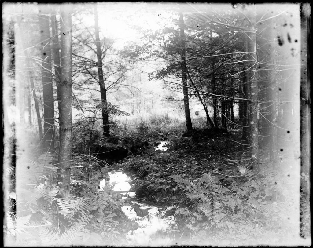 Miniature of Small Stream Through A Woods