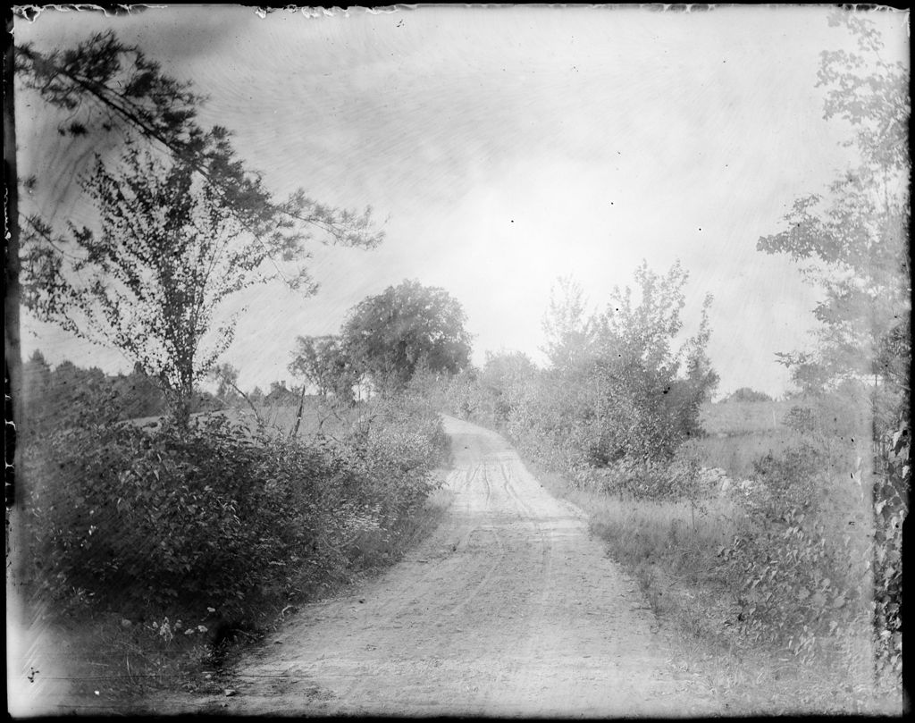 Miniature of Sunlit Rural Road