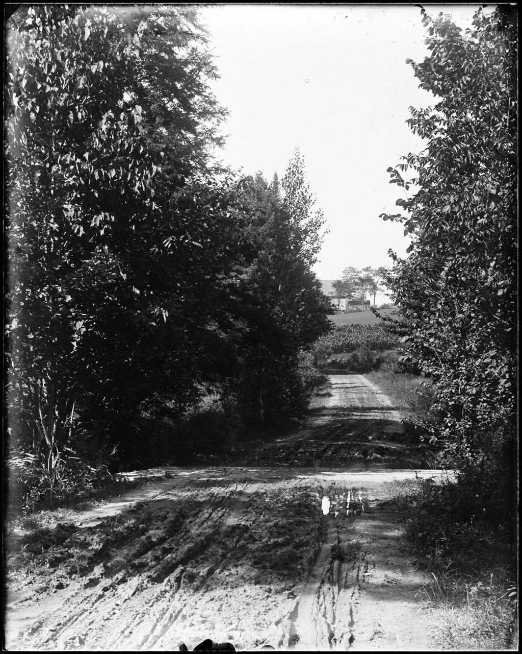 Miniature of View Down A Rural Road Of A Farmhouse & Corn Field
