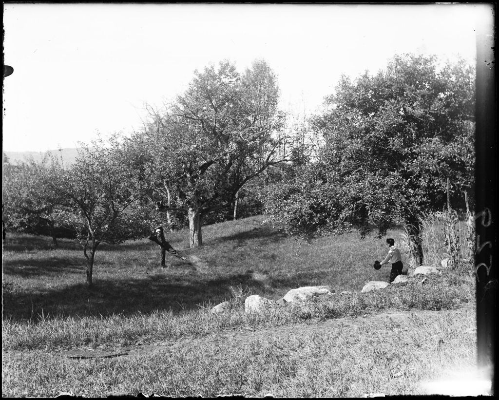 Miniature of Two Men In A Field Playing Ball