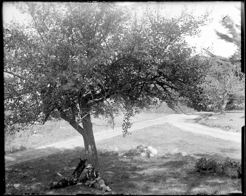 Miniature of Two Men Relaxing Under A Tree