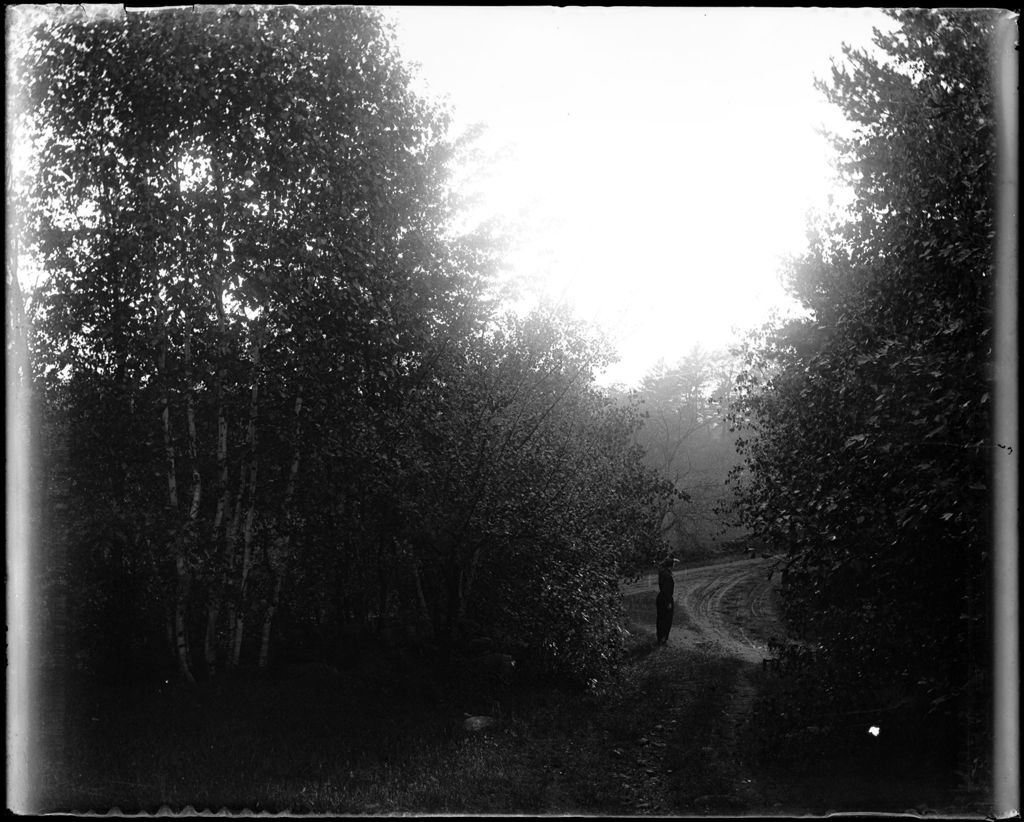 Miniature of Man Standing In The Fork Of A Woods Lined Road