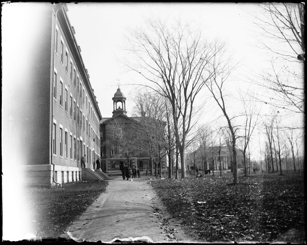 Miniature of View Of Campus Buildings, Bates College