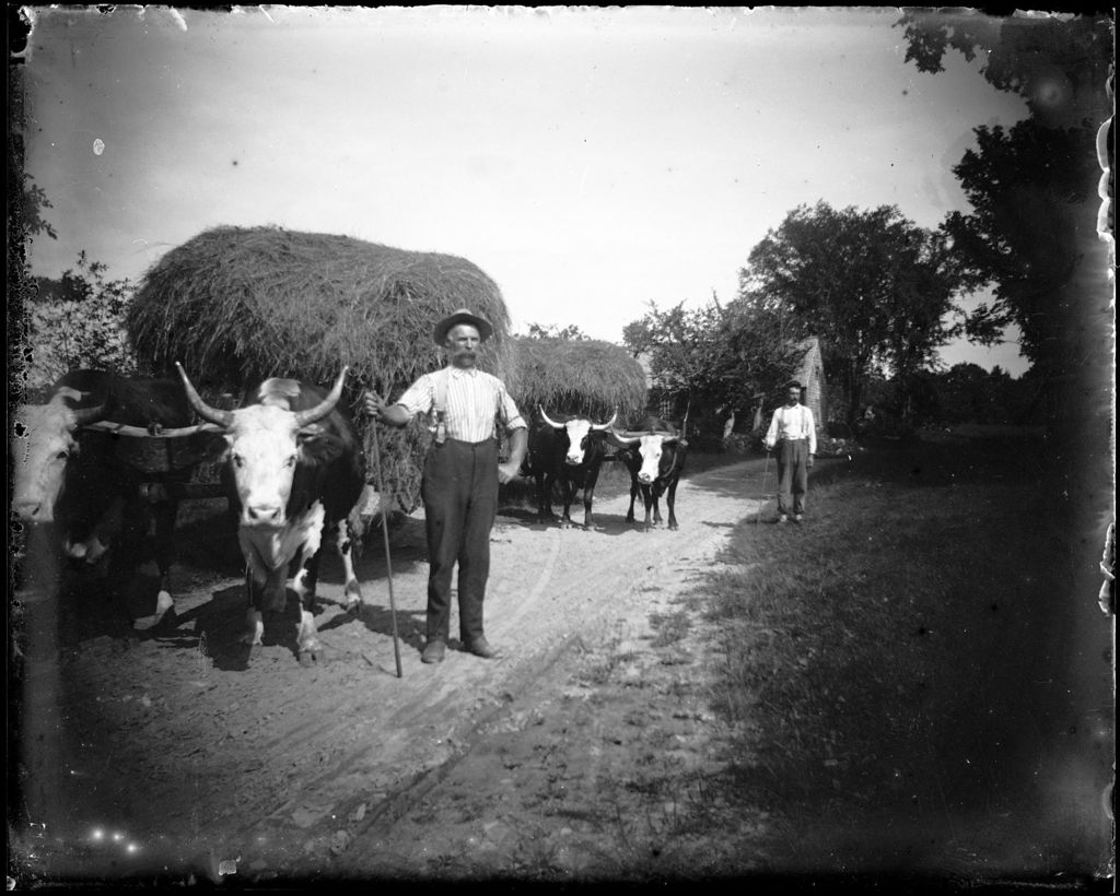 Miniature of Fult & Fred Collomy With Oxen And Hay Carts, Parsonfield