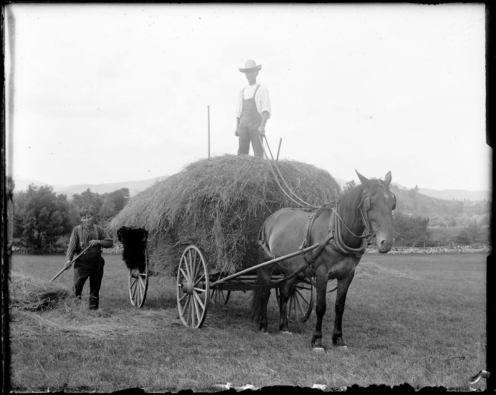 Miniature of Two Men (Olin & Sewall) Haying With Horse Drawn Hay Cart