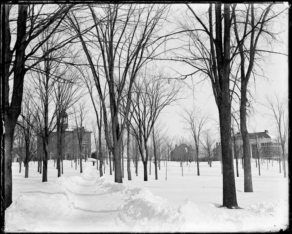 Miniature of Snowy Path Through Trees Towards Campus Buildings, Bates College, Lewiston