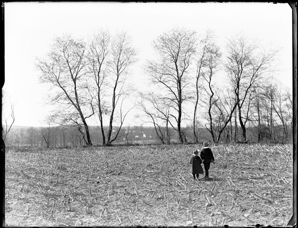 Miniature of Young Boy And Girl Walking In A Harvested Corn Field