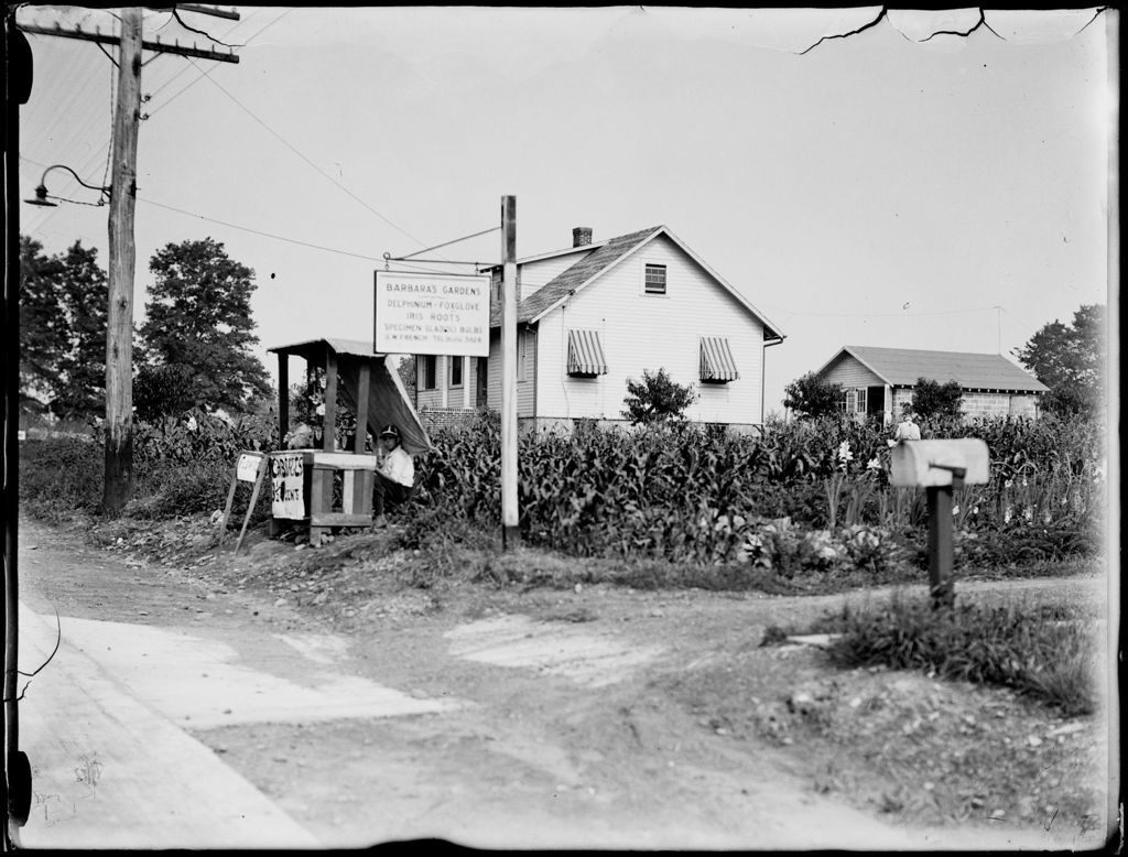 Miniature of Young Boy Sitting At A Roadside Vegetable Stand In Nj