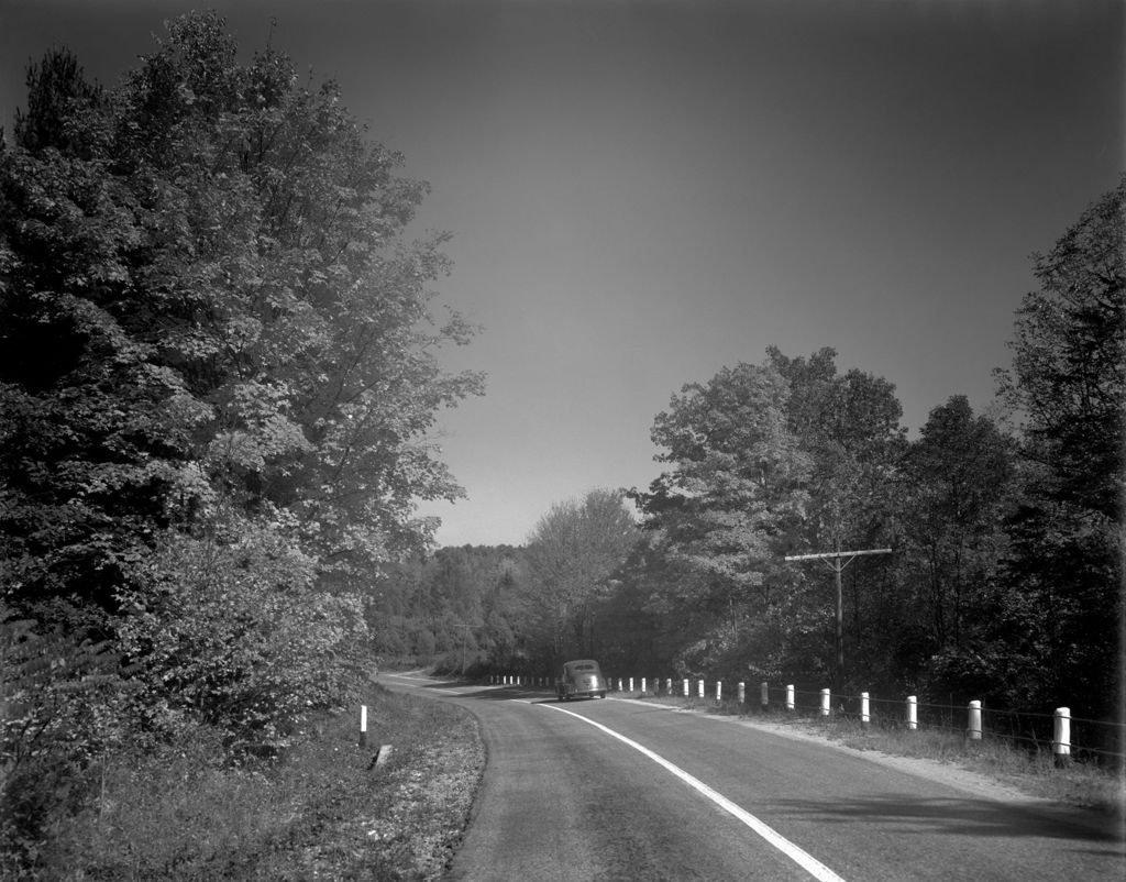 Miniature of Blacktop Road Through Woods In Naples