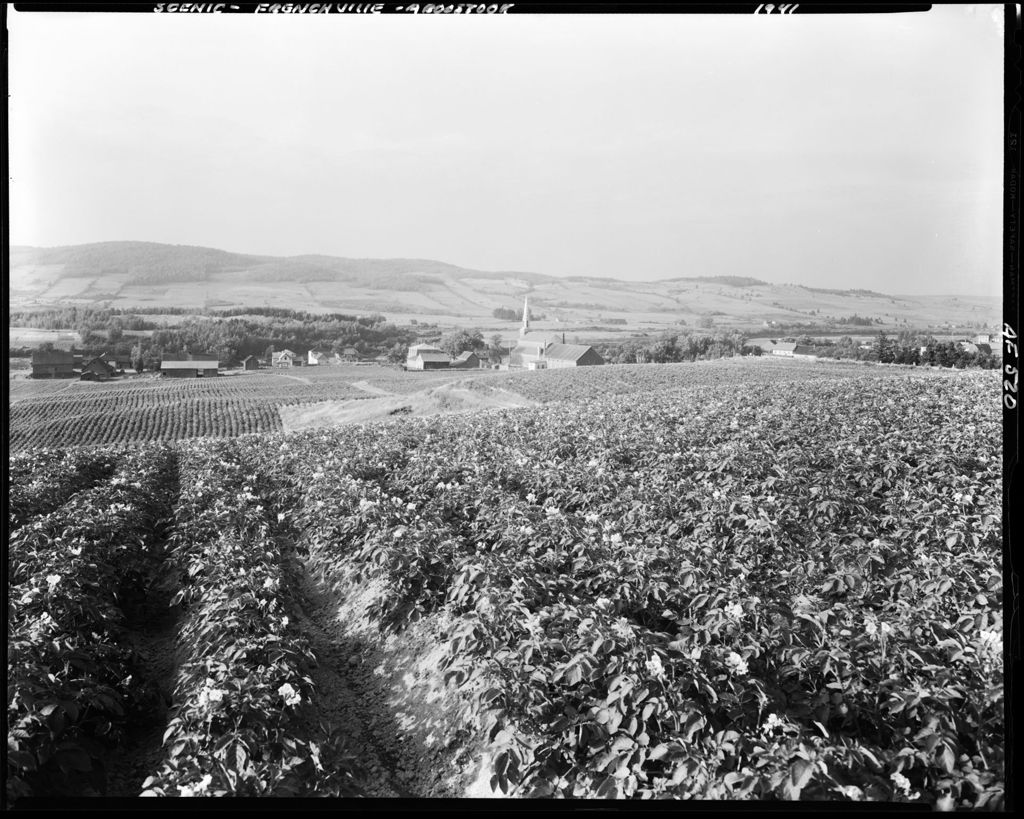 Miniature of Distant View Of Frenchville With Potato Field In Foreground
