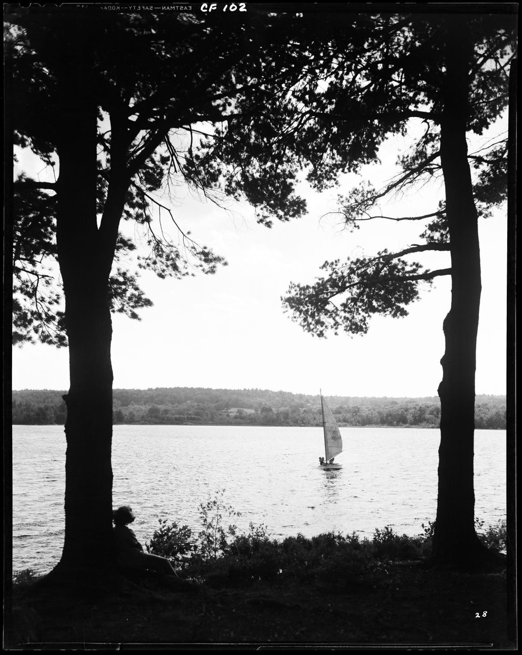 Miniature of Small Sailboat On Damariscotta Lake In Late Afternoon