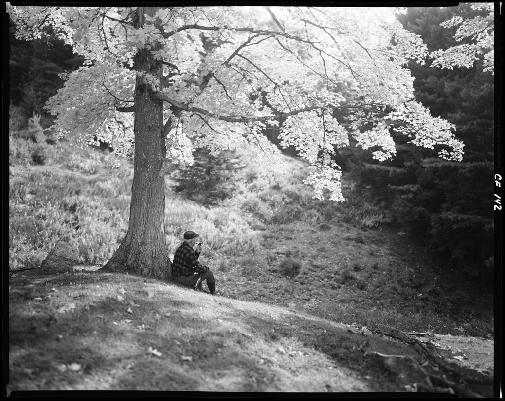 Miniature of A Hunter Sitting By A Tree In Albany