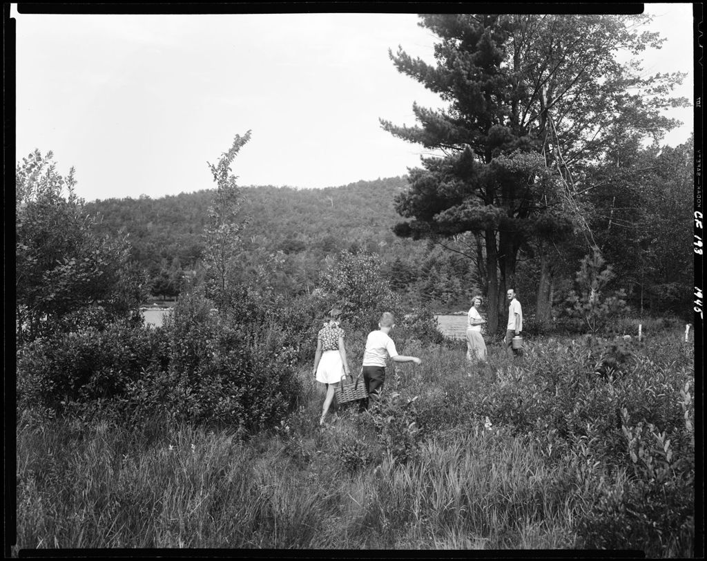 Miniature of Family Walking Through Tall Grass Toward A Lake, They Are Carrying Fixings For A Picnic