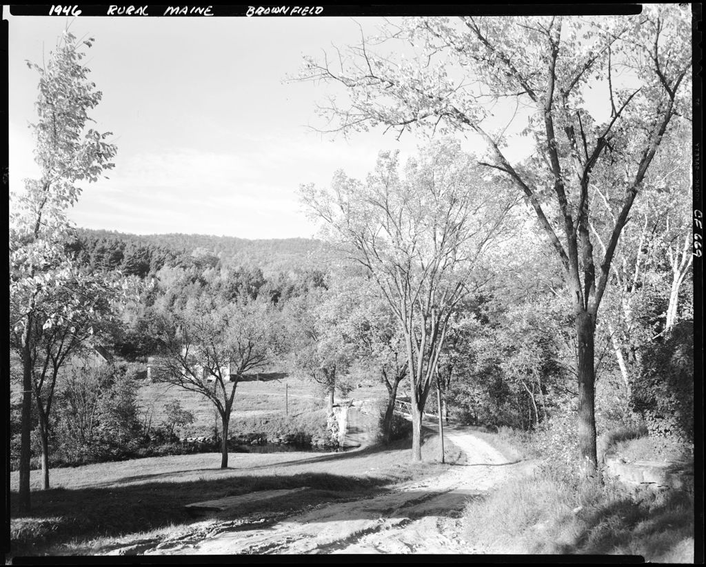 Miniature of Winding Tree Lined Country Road In Brownfield